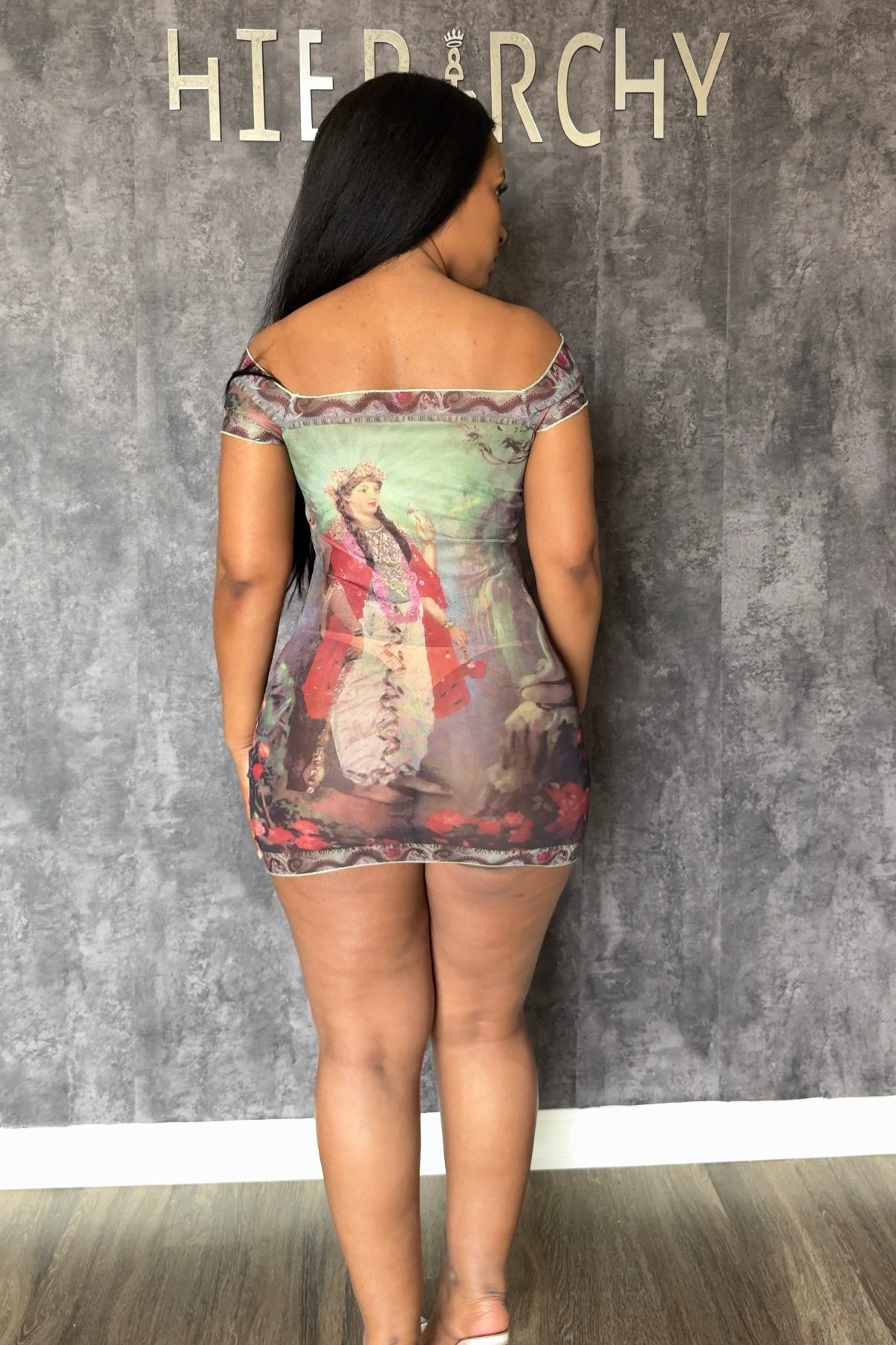 Divina Graphic Mesh Mini Dress